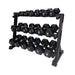 Gym Gear 3 tier hex rack with dumbbells